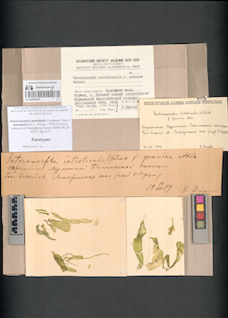 LE A0004018