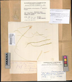 LE A0004021