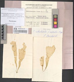 LE A0004022