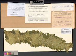 LE A0004023