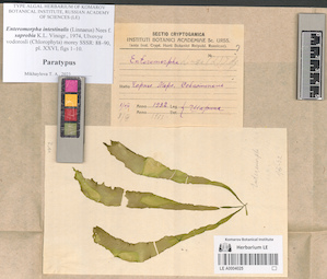 LE A0004025