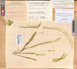 LE A0004027