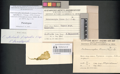 LE A0004029