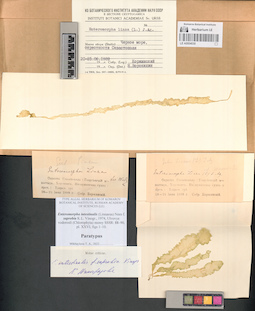 LE A0004030