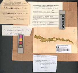 LE A0004032