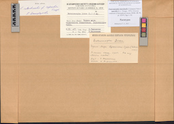 LE A0004033