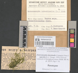 LE A0004034