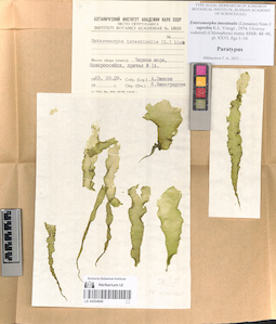 LE A0004040