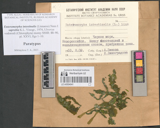 LE A0004041