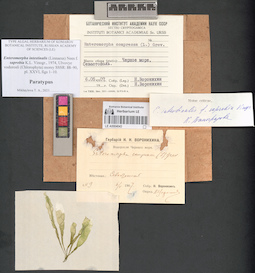 LE A0004043