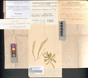 LE A0004044