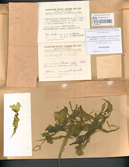 LE A0004047
