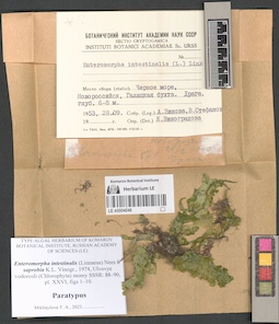 LE A0004048