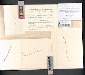 LE A0004049