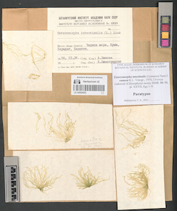 LE A0004053