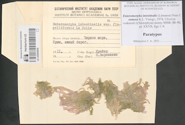 LE A0004054