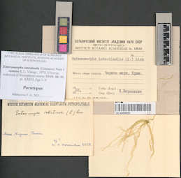 LE A0004056