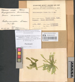 LE A0004058