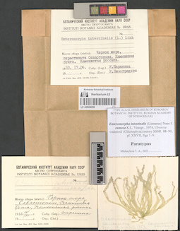 LE A0004059