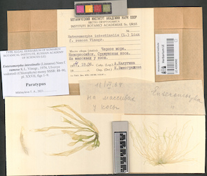 LE A0004060