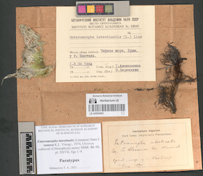 LE A0004061