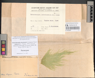 LE A0004062