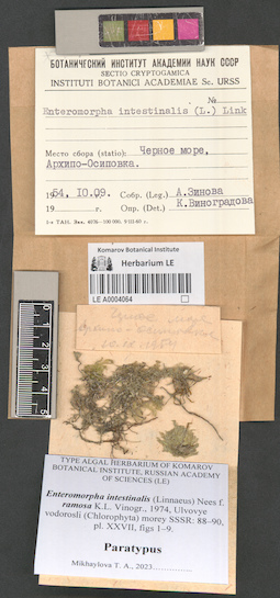 LE A0004064
