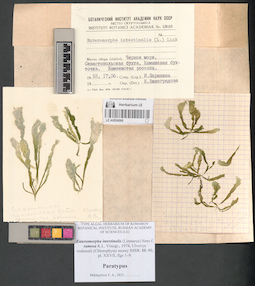LE A0004066