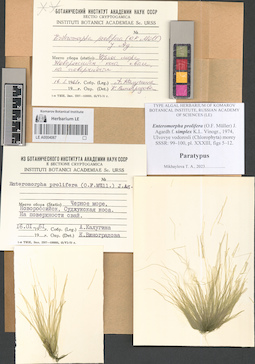 LE A0004067