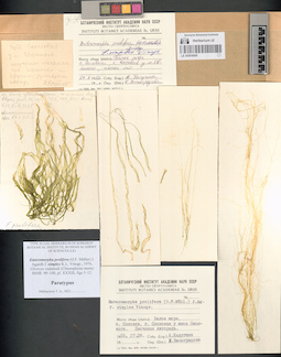 LE A0004069