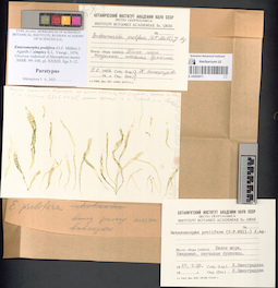 LE A0004071