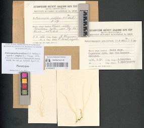 LE A0004072