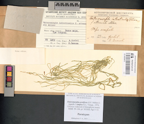 LE A0004073