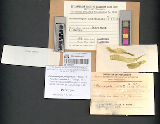 LE A0004074