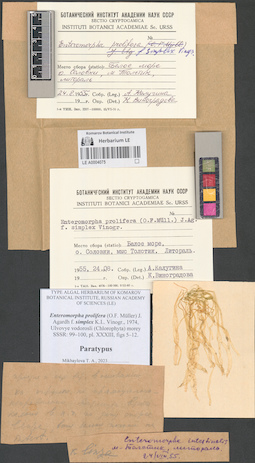 LE A0004075