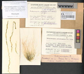 LE A0004076