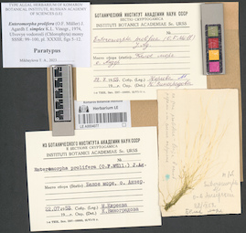 LE A0004077