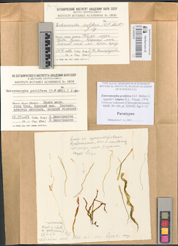 LE A0004078