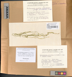 LE A0004079