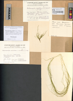 LE A0004080