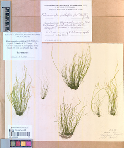 LE A0004082