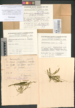 LE A0004083