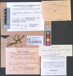 LE A0004084