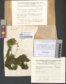 LE A0004086