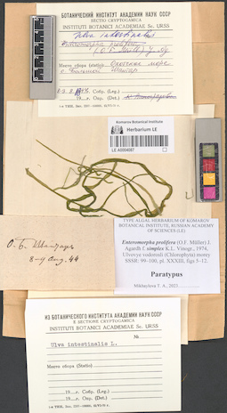 LE A0004087