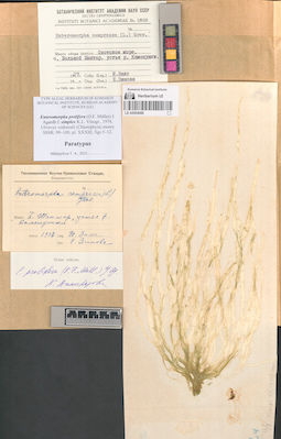 LE A0004088