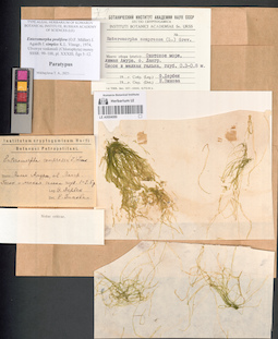 LE A0004089