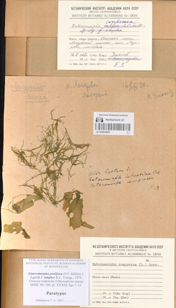 LE A0004090