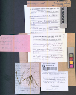 LE A0004091