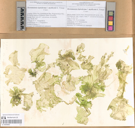 LE A0004092